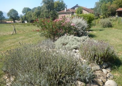 Plantation de massifs près de Saint Gaudens - Entreprise Frances Espaces Verts