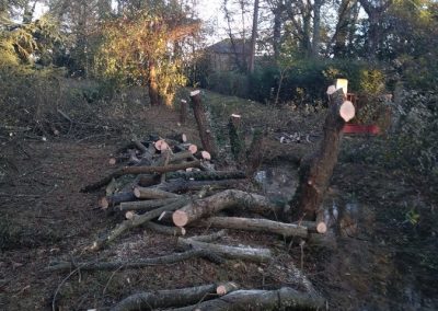 Taille d'arbres près de Saint Gaudens - Entreprise Frances Espaces Verts