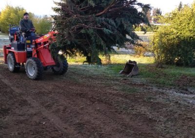 évacuation de déchets verts avec machine à Saint Gaudens - Entreprise Frances Espaces Verts