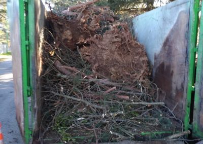 évacuation de déchets verts près de Saint Gaudens - Entreprise Frances Espaces Verts
