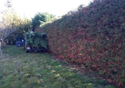Taille de haies près de Saint Gaudens - Entreprise Frances Espaces Verts