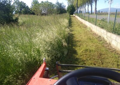 Entretien et création espaces verts en Haute-Garonne